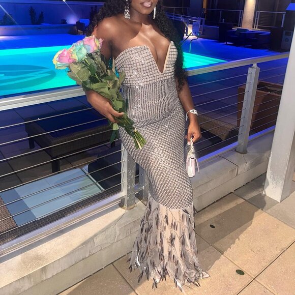 Diamond Feather Ballroom Gown - Picture 1 of 1